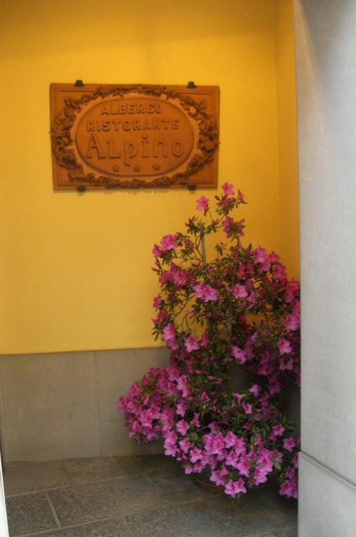 Hotel Alpino Barga Zewnętrze zdjęcie